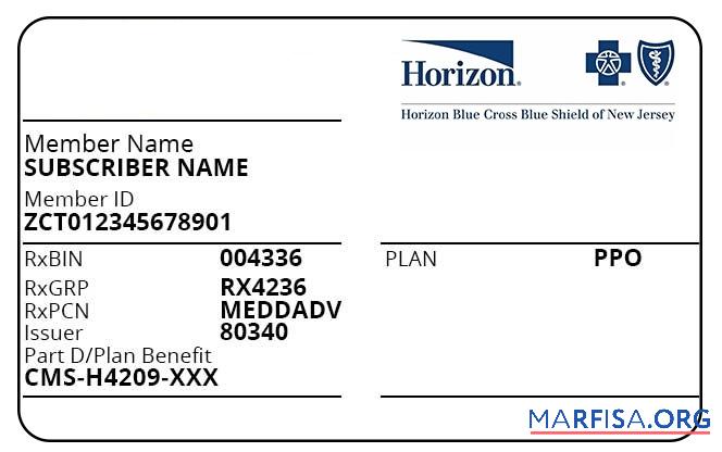 Realistic New Jersey health insurance card example